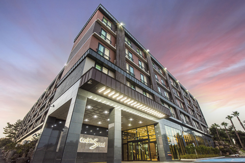 �ڵ�����Sȣ��