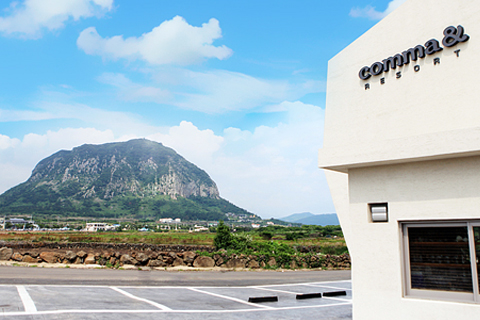 �޸��ؽ��ĸ���Ʈ