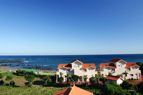 ���Ϻ����